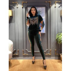 17164 Velvet Track Suit